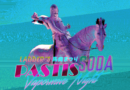 sponsor_ruinada verona vaporwave